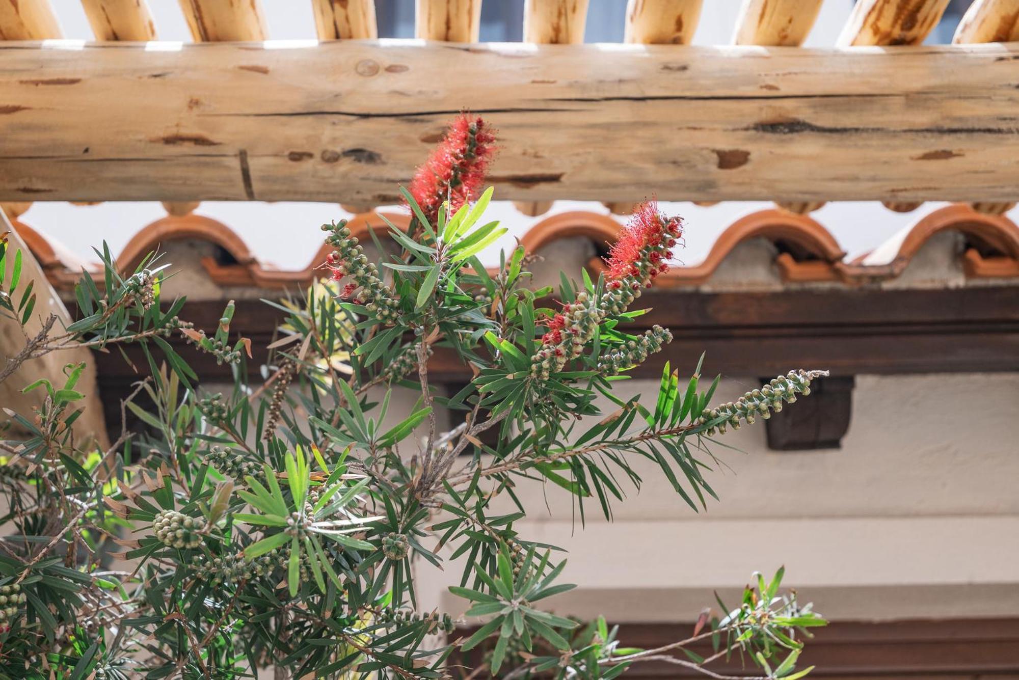 Fasolaki Skopelos - Eco Residences Esterno foto