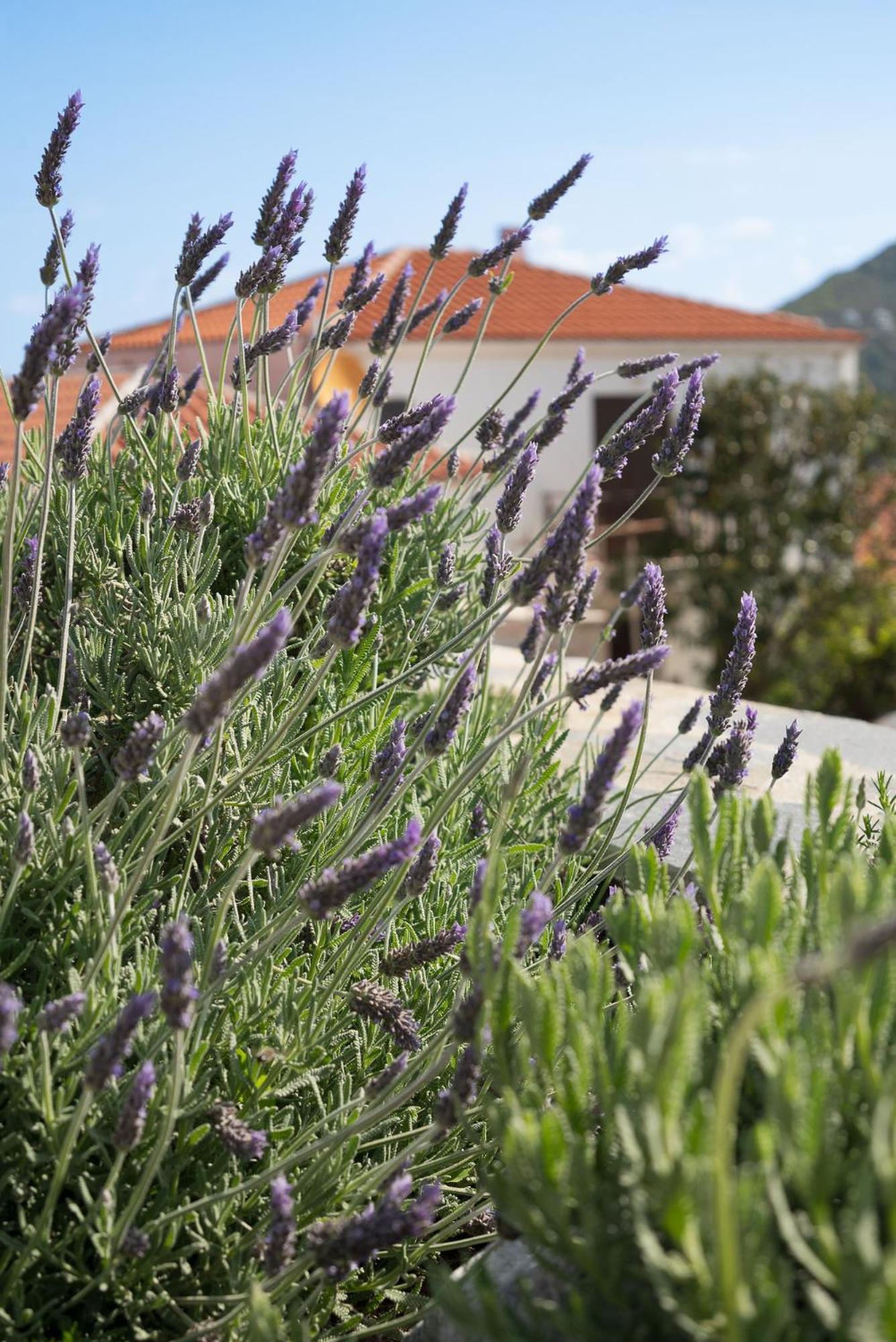 Fasolaki Skopelos - Eco Residences Esterno foto